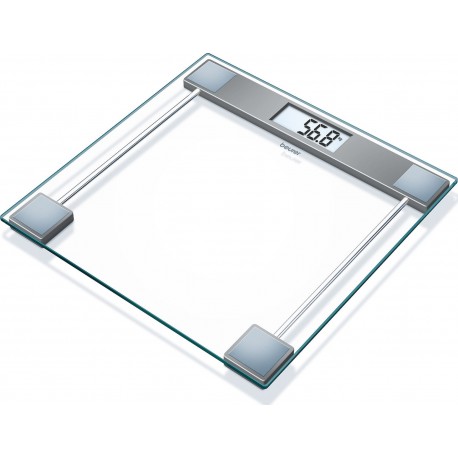 BE-GS11 Glass Scale